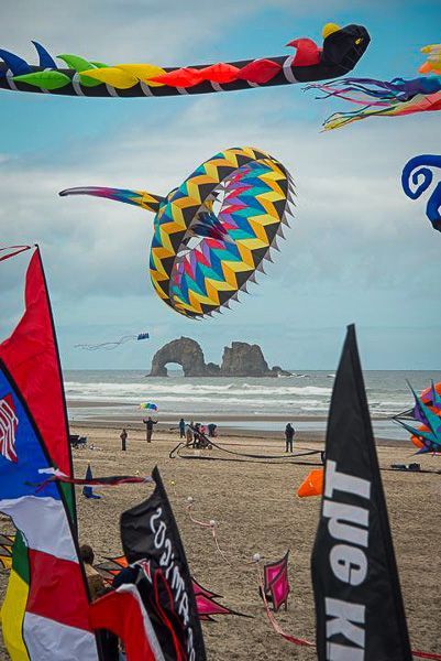 A bunch of kites are flying on a beach with a flag that says lug on it