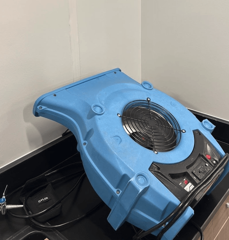 Blue air mover on a countertop, drying  water damaged wall