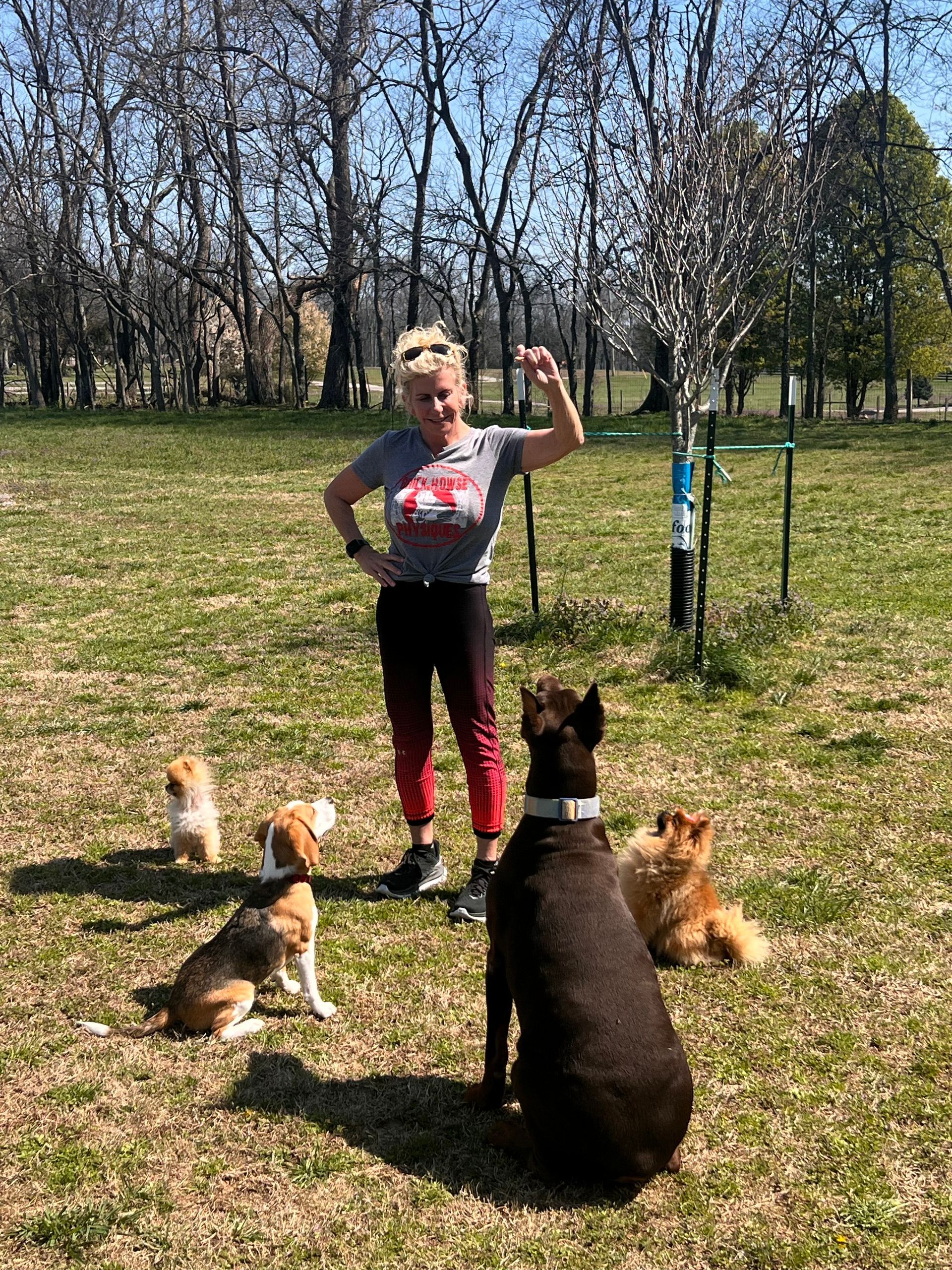 Girl standing in a park with several dogs sitting around her, one large black dog in the foreground.