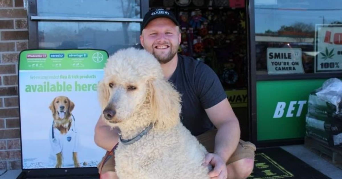 Contact Us Pet Supplies & Dog Grooming in Tampa, FL Pet Wize