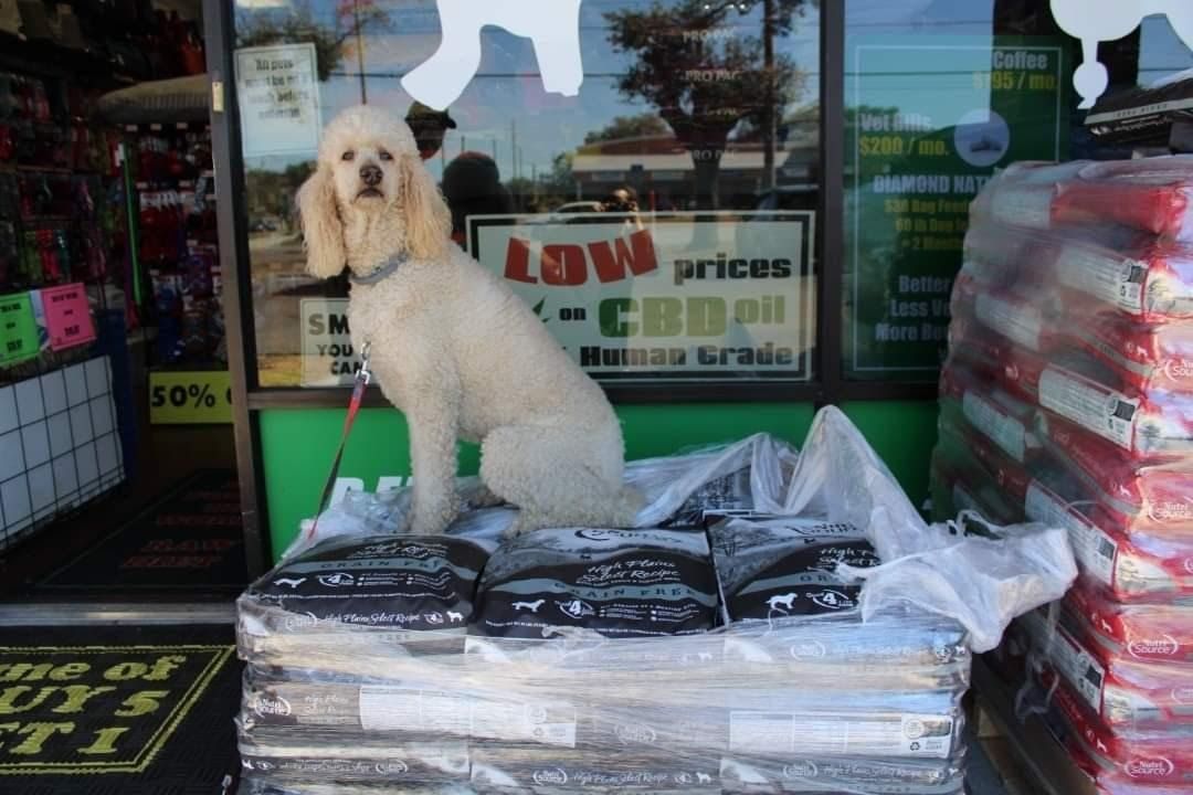 Holistic Dog Food Pet Wize