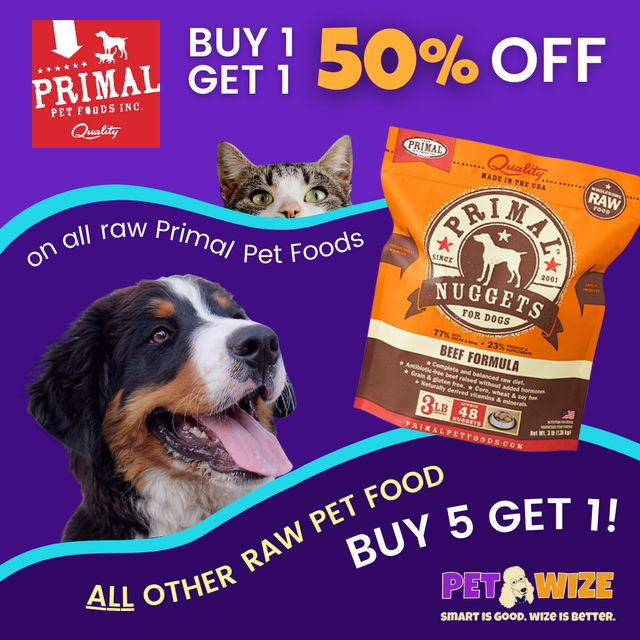 Is Raw Better For Dogs