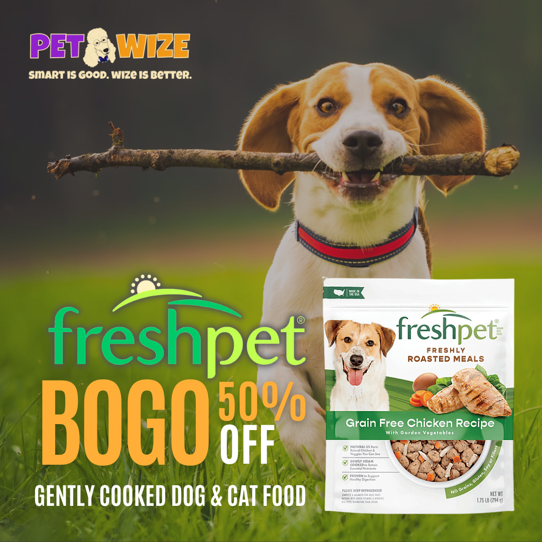 Fresh Dog Food | Buy 5 Get 1 Free | Pet Wize