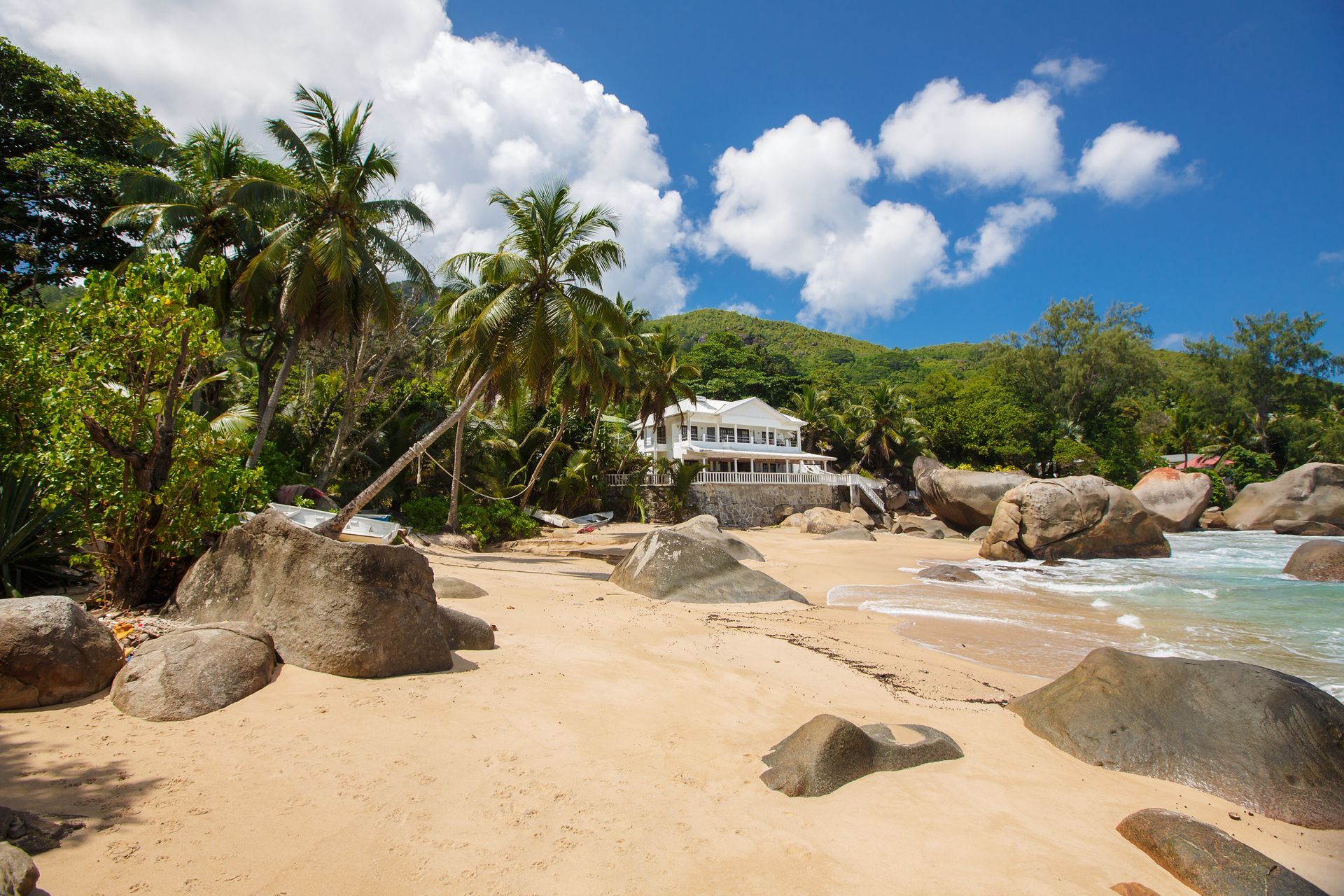 A beach with palm trees and rocks and a house in the background