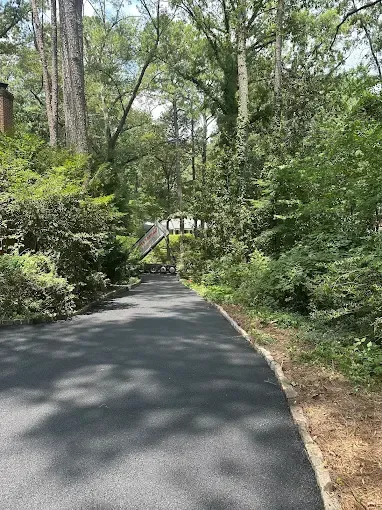 Paved path through dense green woods with a small footbridge ahead