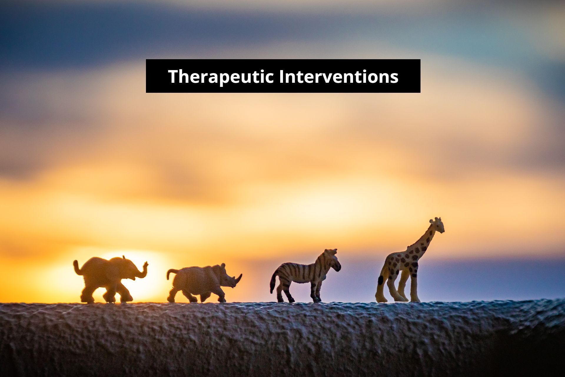 Therapeutic Interventions