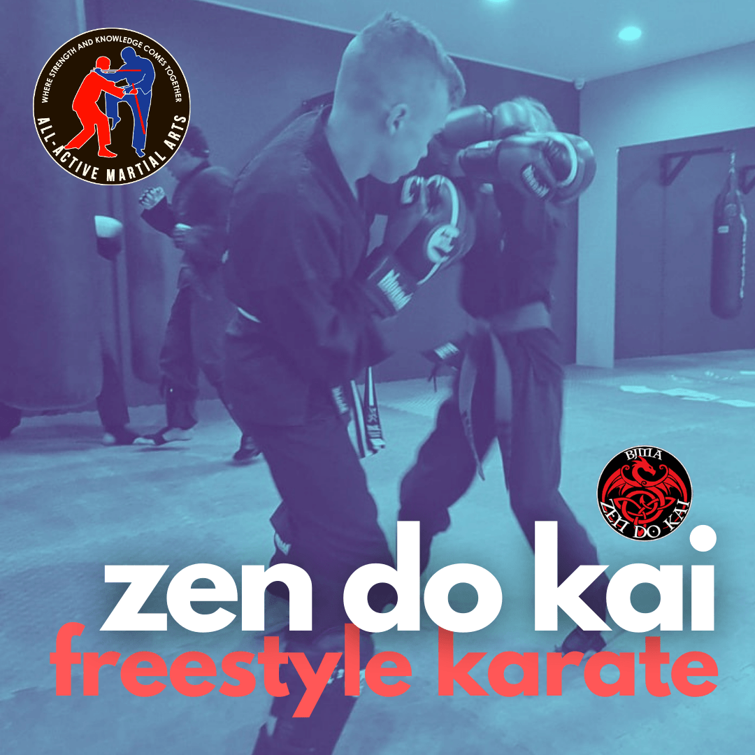 Martial Arts, Kids Karate, Zen Do Kai, Muay Thai Kickboxing, Krav Maga ...
