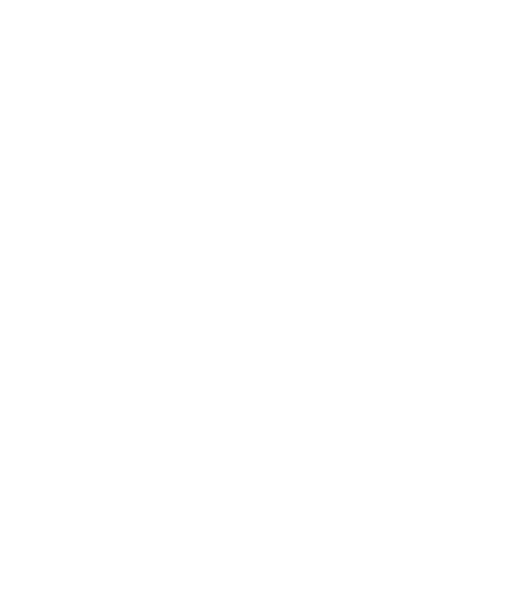 Social Traders certified icon