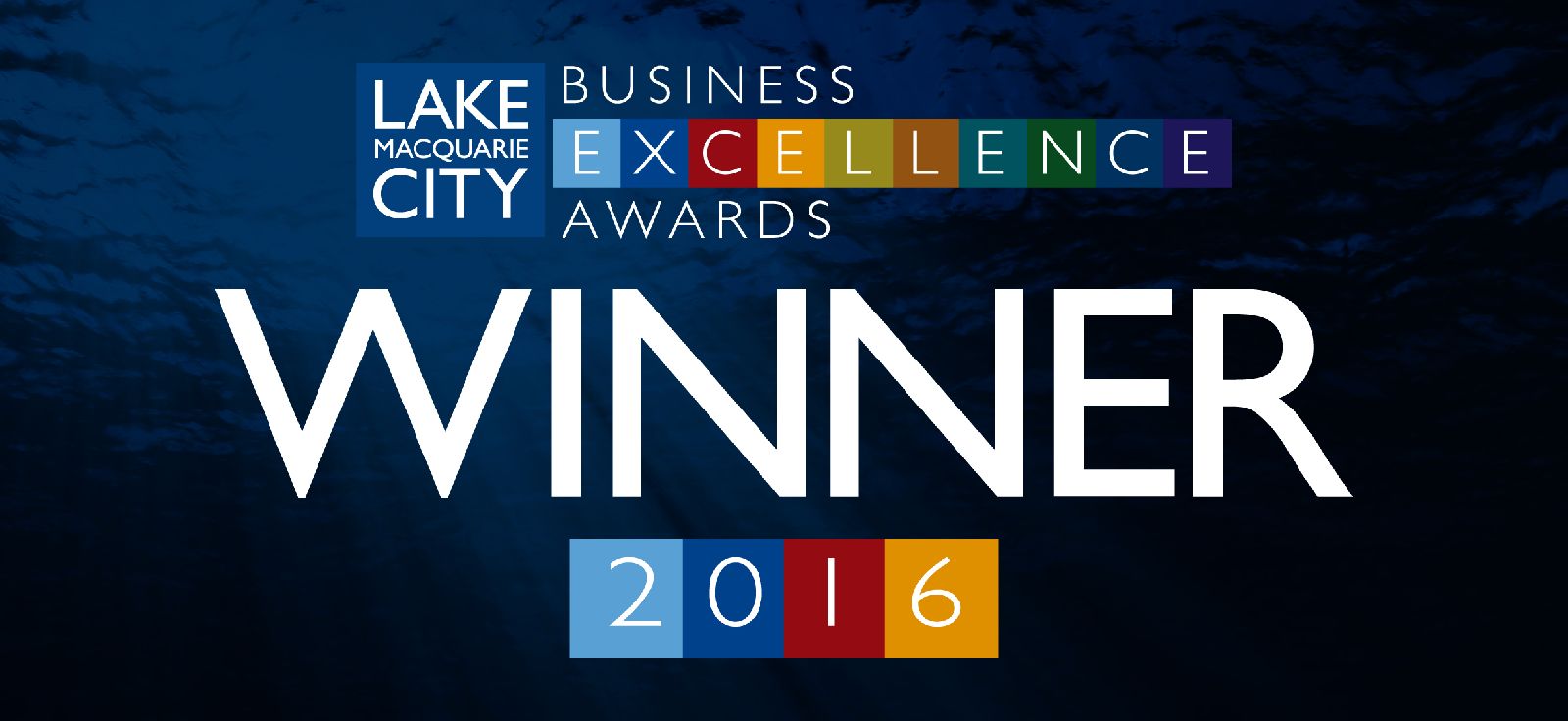 Business Excellence Awards winner