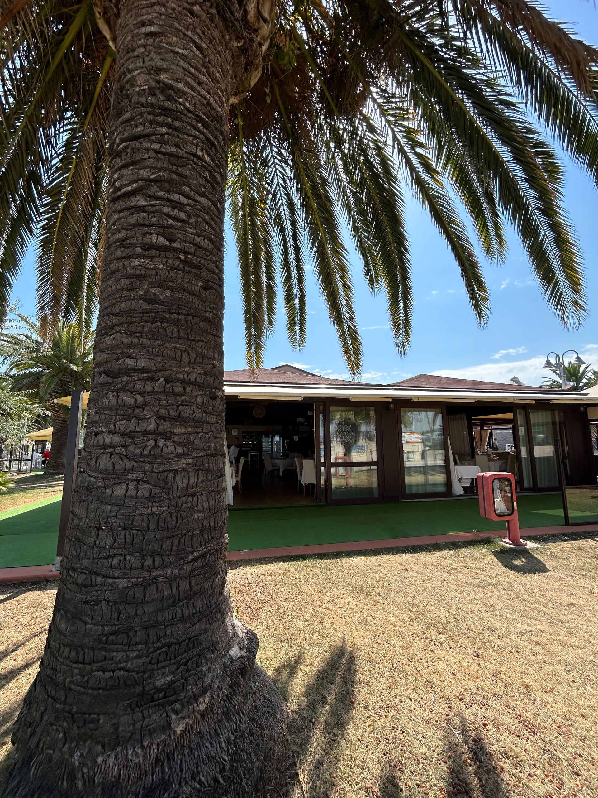 Tronco di palma davanti a un edificio basso con finestre in una giornata di sole.