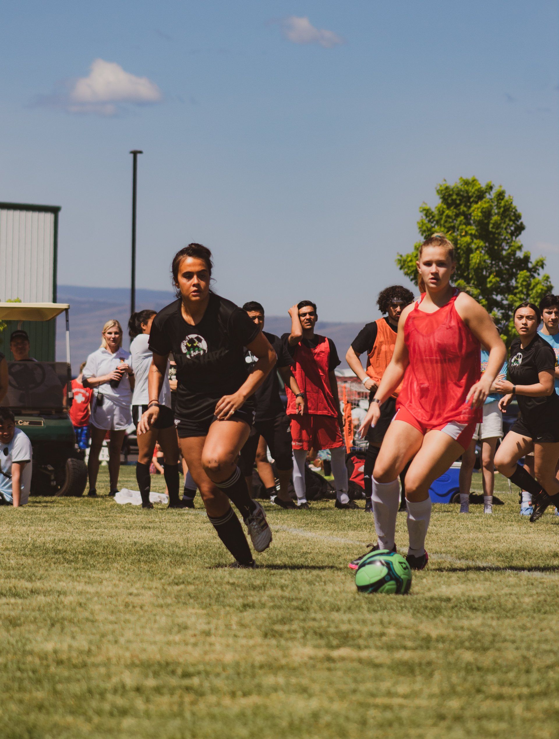 A group of girls are playing soccer on a field.