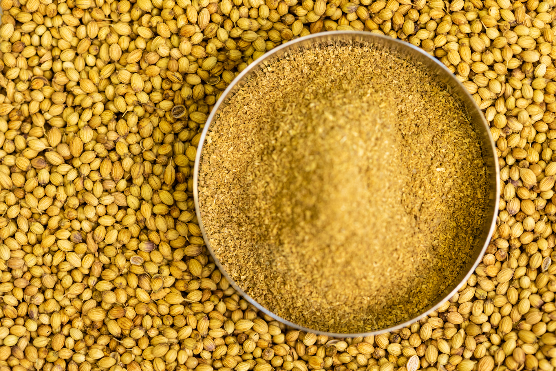 A bowl of coriander powder is sitting on top of a pile of coriander seeds.
