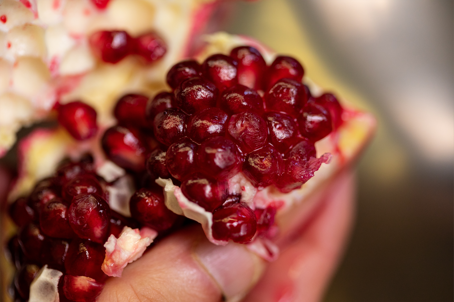 A person is holding a pomegranate in their hand.