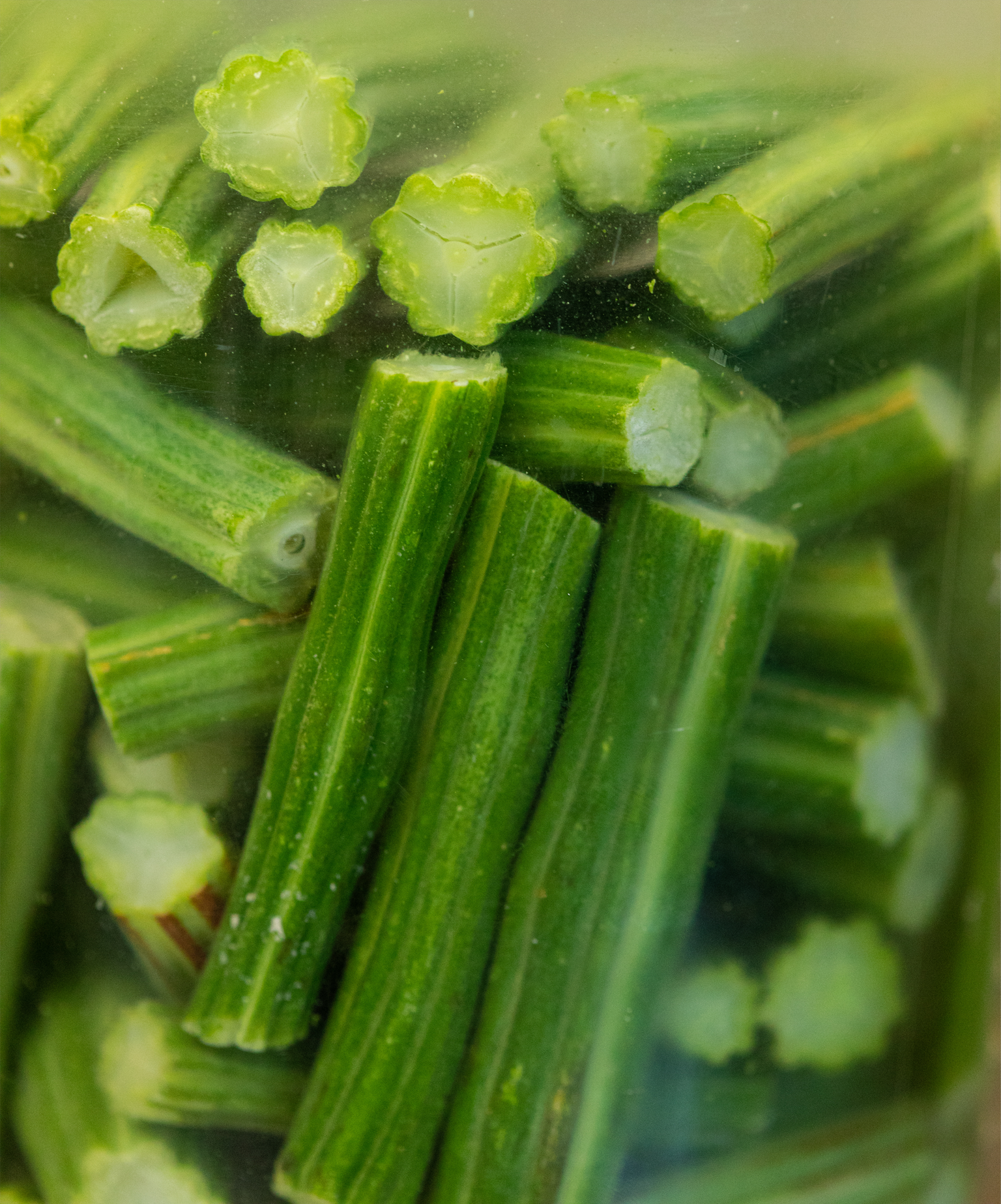 A close up of green beans in a glass jar.