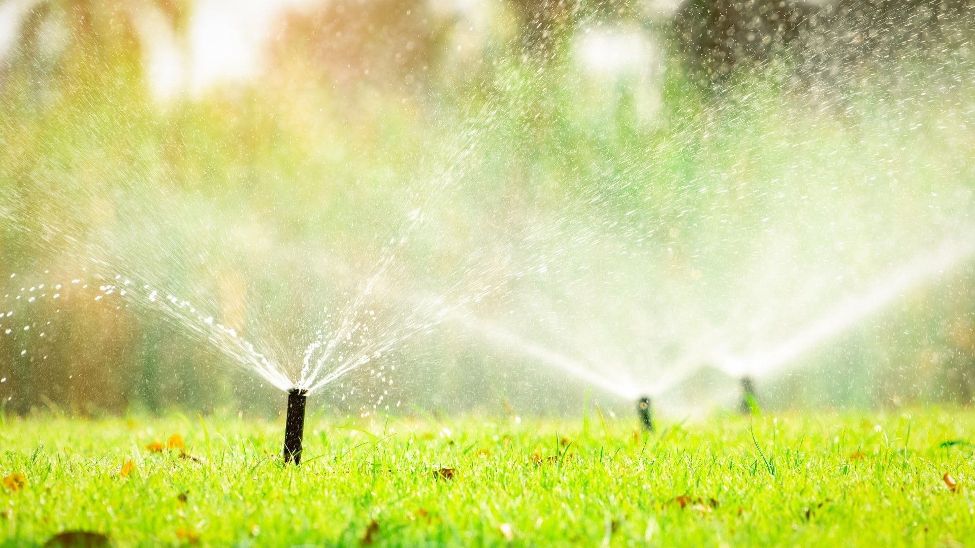 image of sprinklers