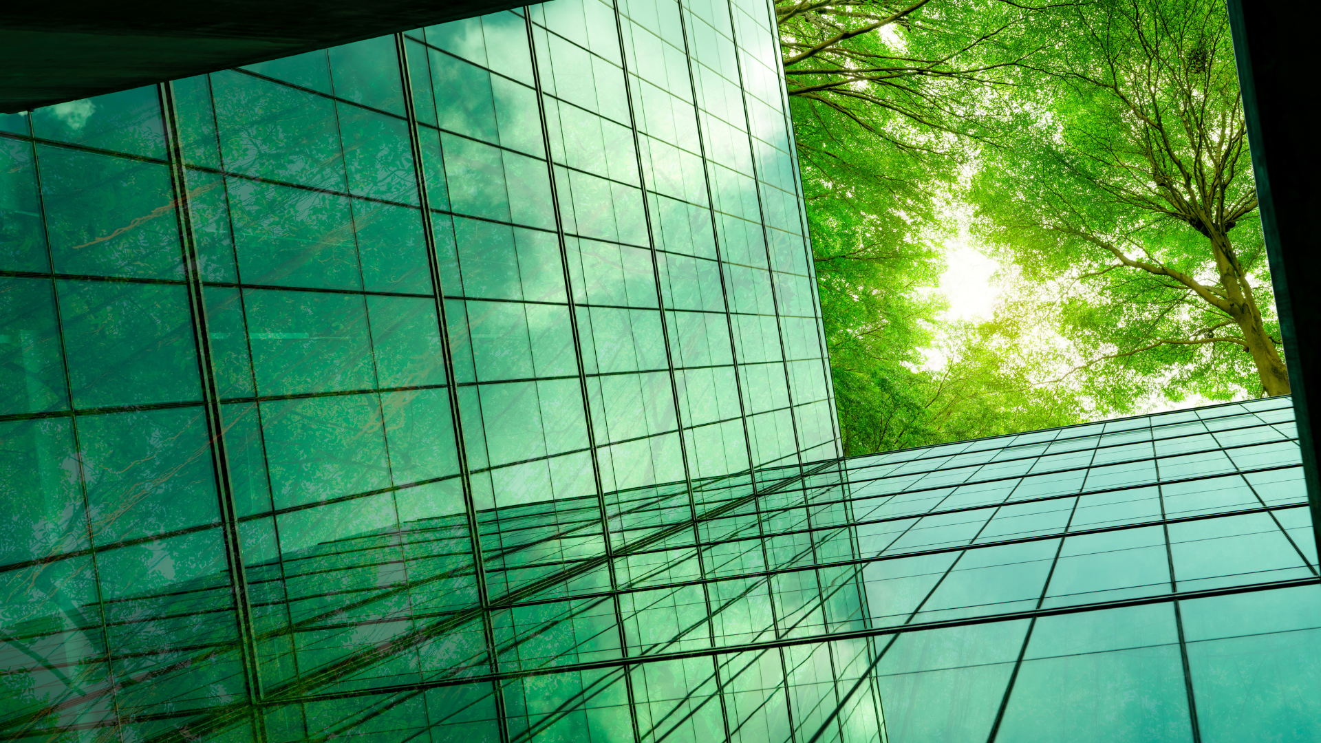 Image of a glass building with trees