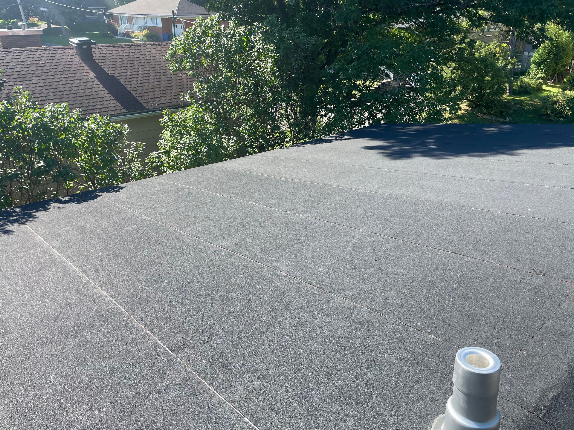 Toit plat en asphalte gris avec des arbres en arrière-plan par une journée ensoleillée.