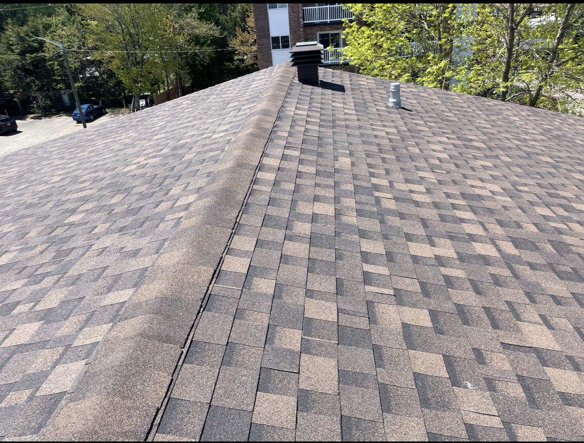 Toit en bardeaux bruns et gris avec une cheminée et des évents, des arbres et un bâtiment visibles en arrière-plan.