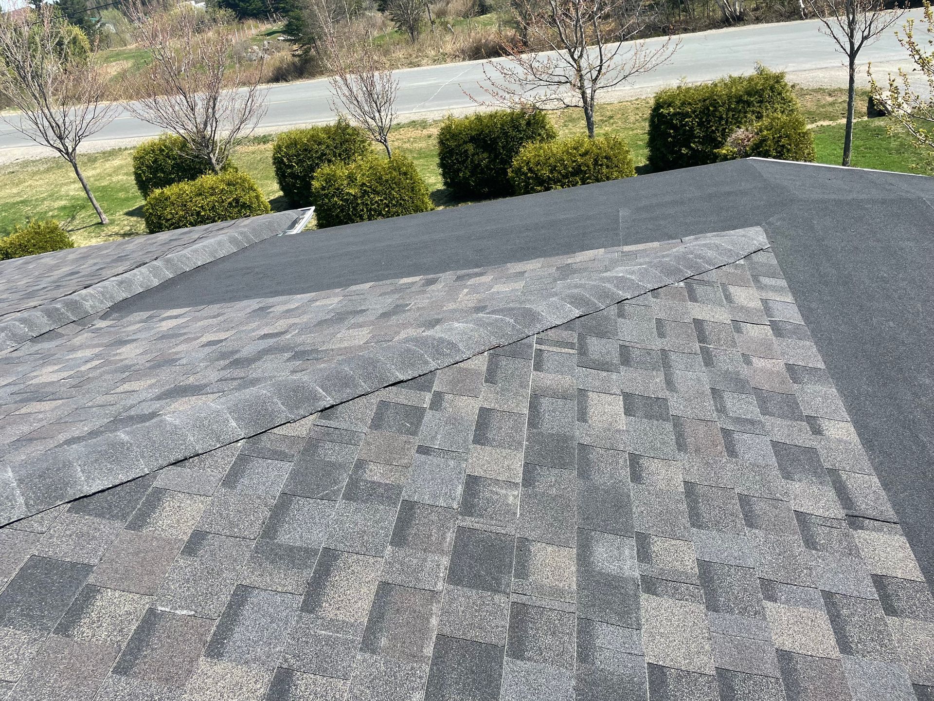 Toiture en bardeaux d'asphalte gris avec un dégradé vert et beige, donnant sur une route avec des arbres et des buissons.