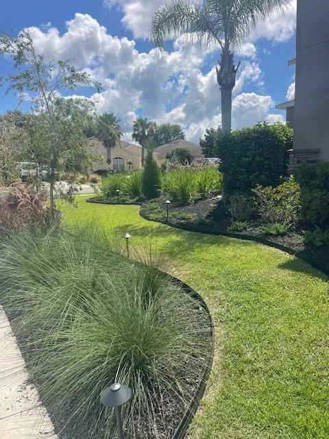 Green lawn curving through landscaped yard with trees, plants, and blue sky.