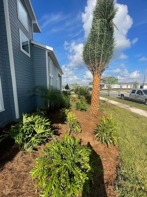 Landscaped garden bed with a palm tree next to a blue building on a sunny day.