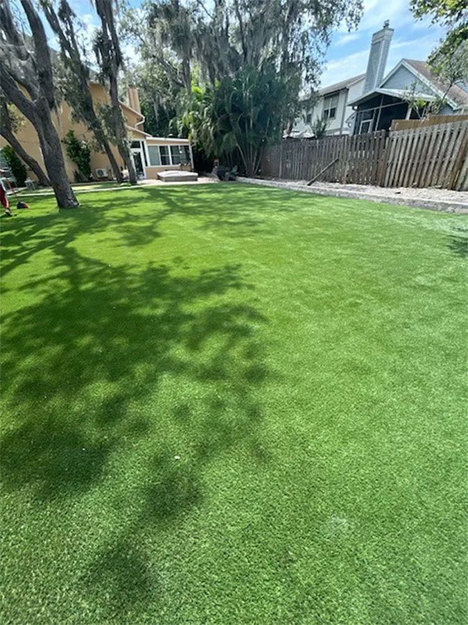 Green lawn in a backyard, with shadows from a tree. Houses and a fence are in the background.