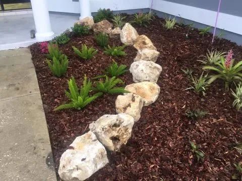 Garden bed with line of rocks, various green plants, and brown mulch.