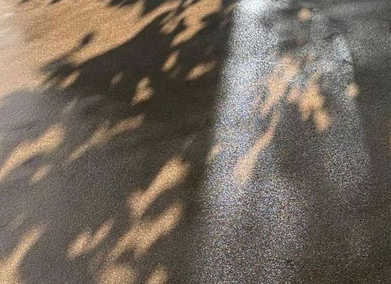 The shadow of a tree is cast on a concrete ground in Portland OR