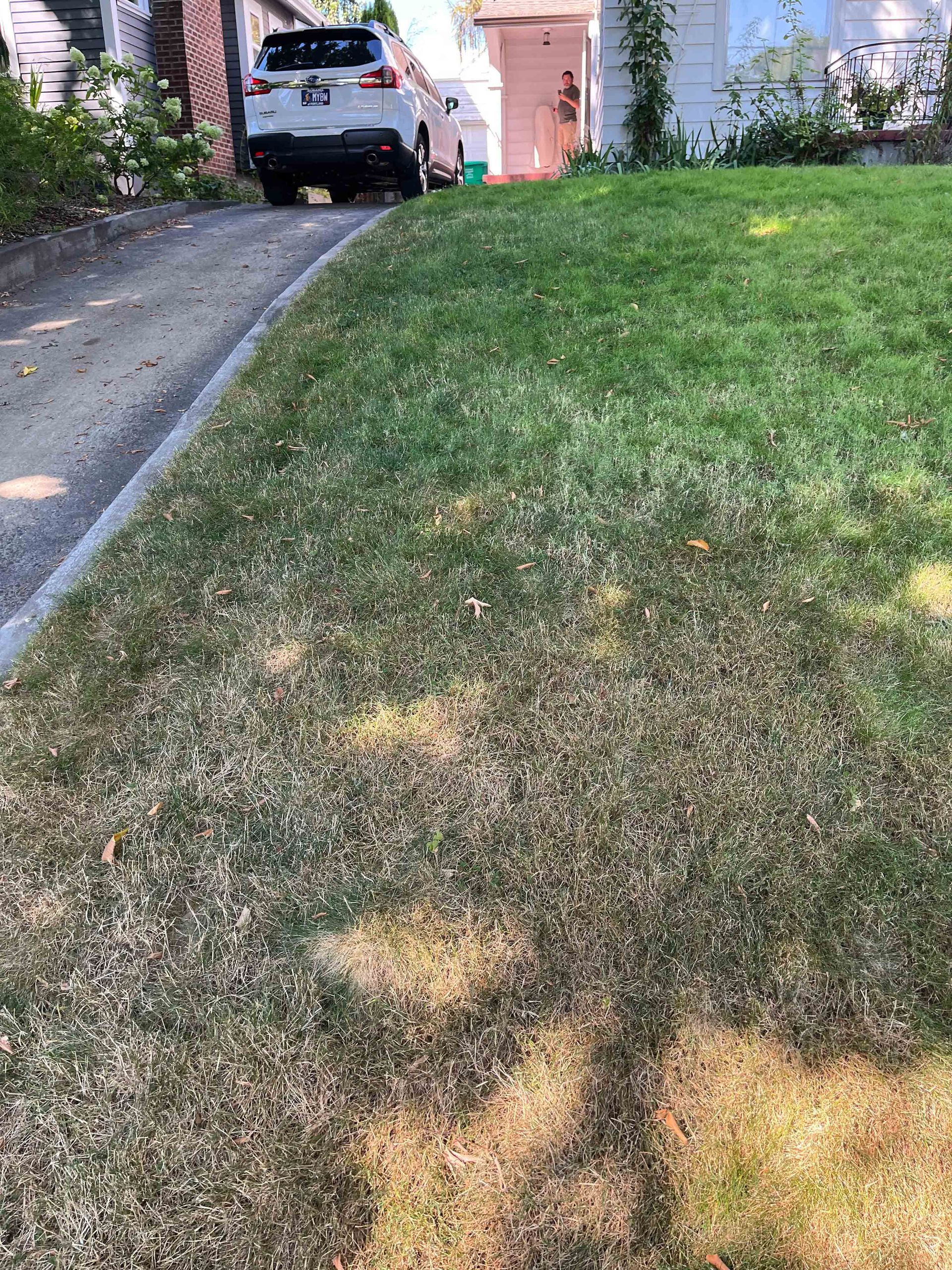 A car is parked in a driveway next to a lush green lawn in Portland OR