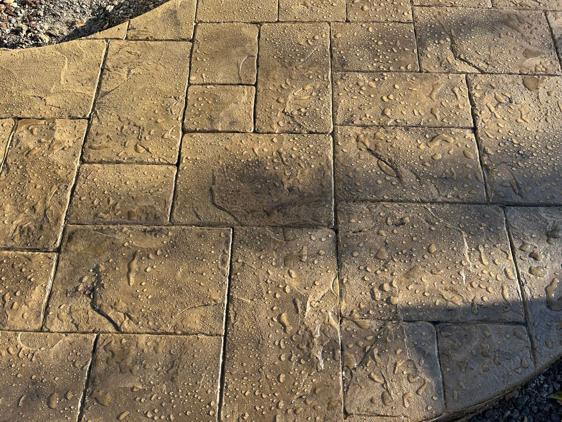 a close up of a brick walkway with a shadow on it in Portland OR