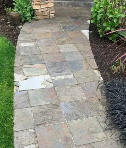 A stamped concrete walkway with moss growing on it.