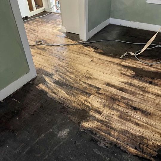 Dark wooden floor with water stains; doorway; green and white walls.