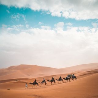 A caravan of camels trekking across the sandy expanse of the Sahara Desert.