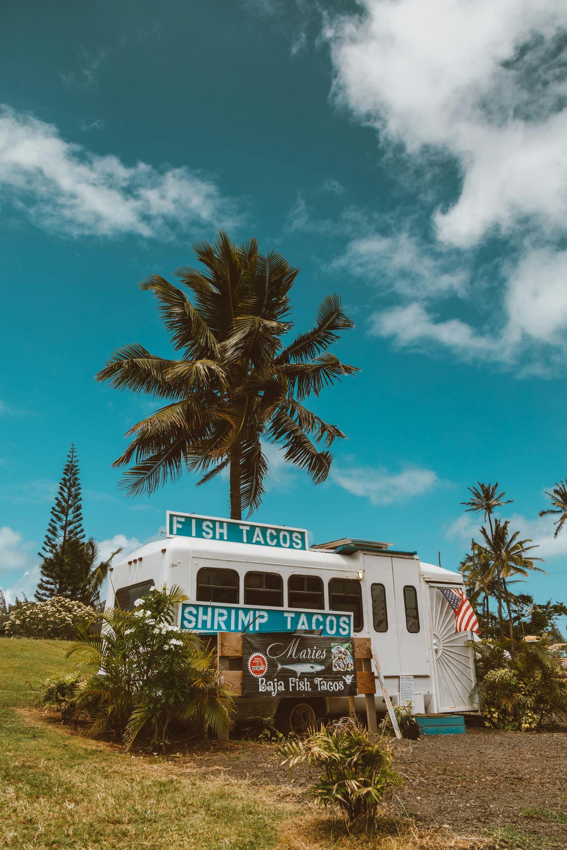 A food truck is parked in front of a palm tree.