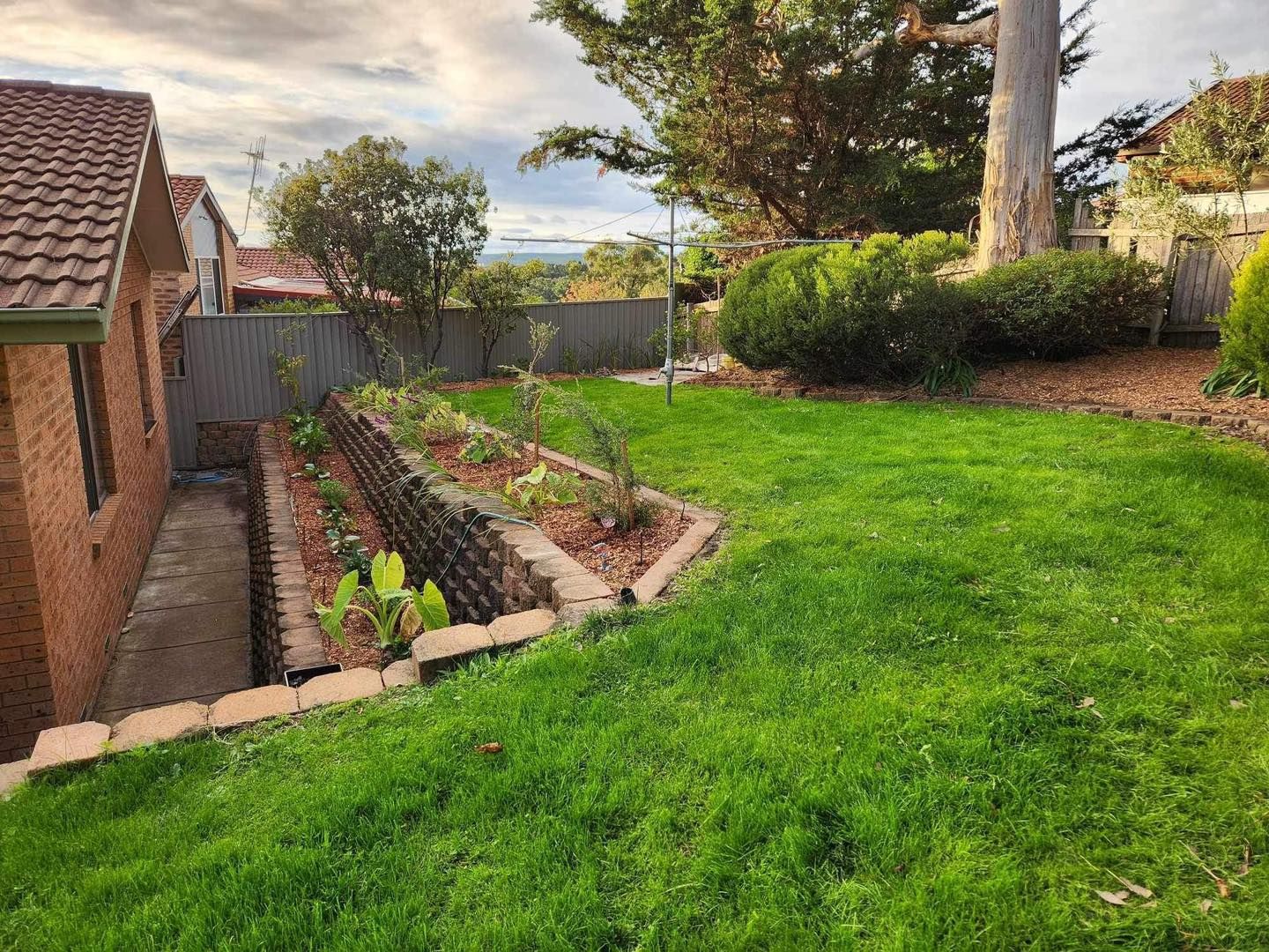 After A Lush Green Yard With A Brick House In The Background — Canberra Home and Garden Maintenance in Tuggeranong ACT