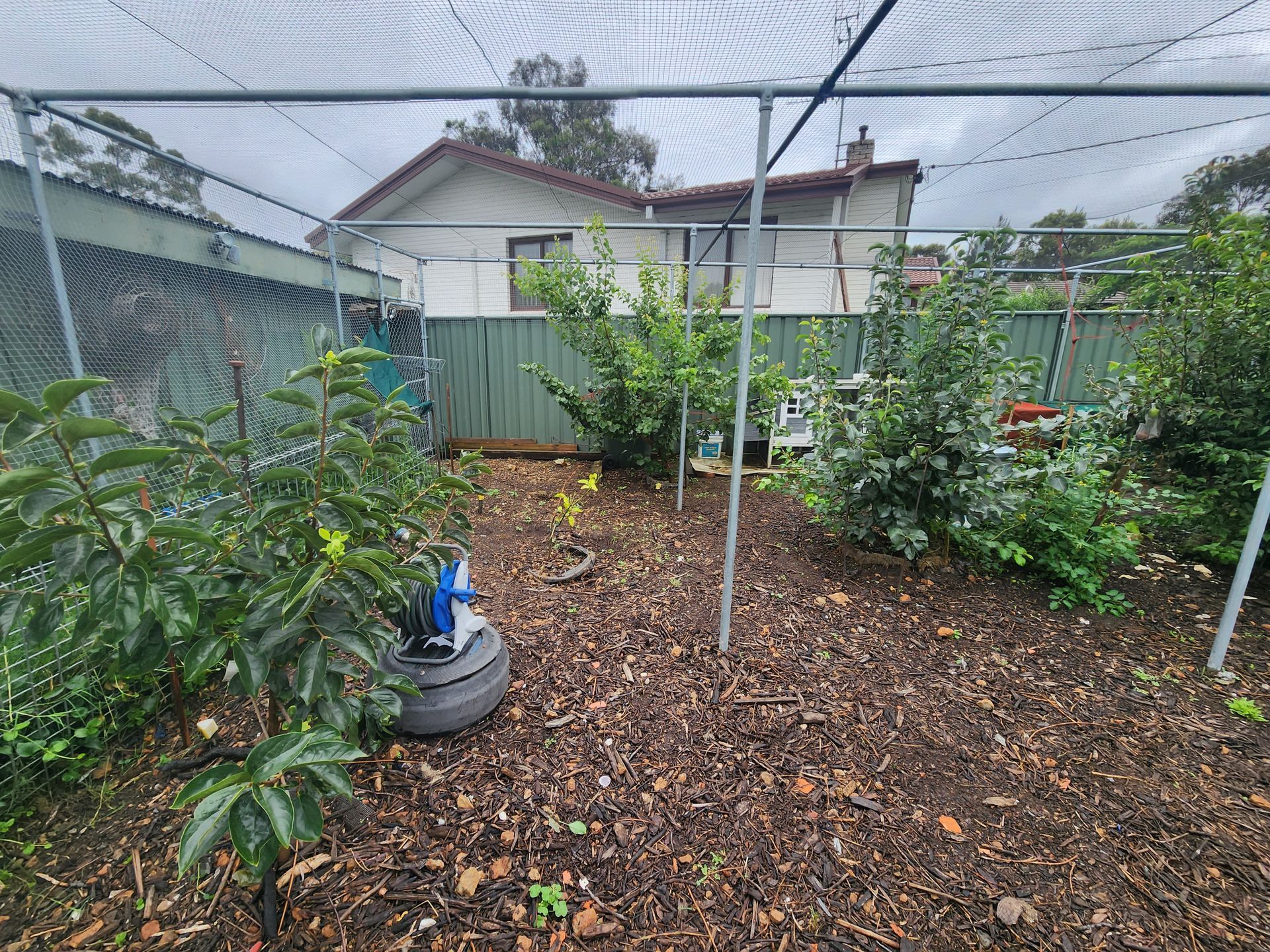 Before A Wooden Deck Overlooking A Lake With A Fence Surrounding It — Canberra Home and Garden Maintenance in Tuggeranong ACT