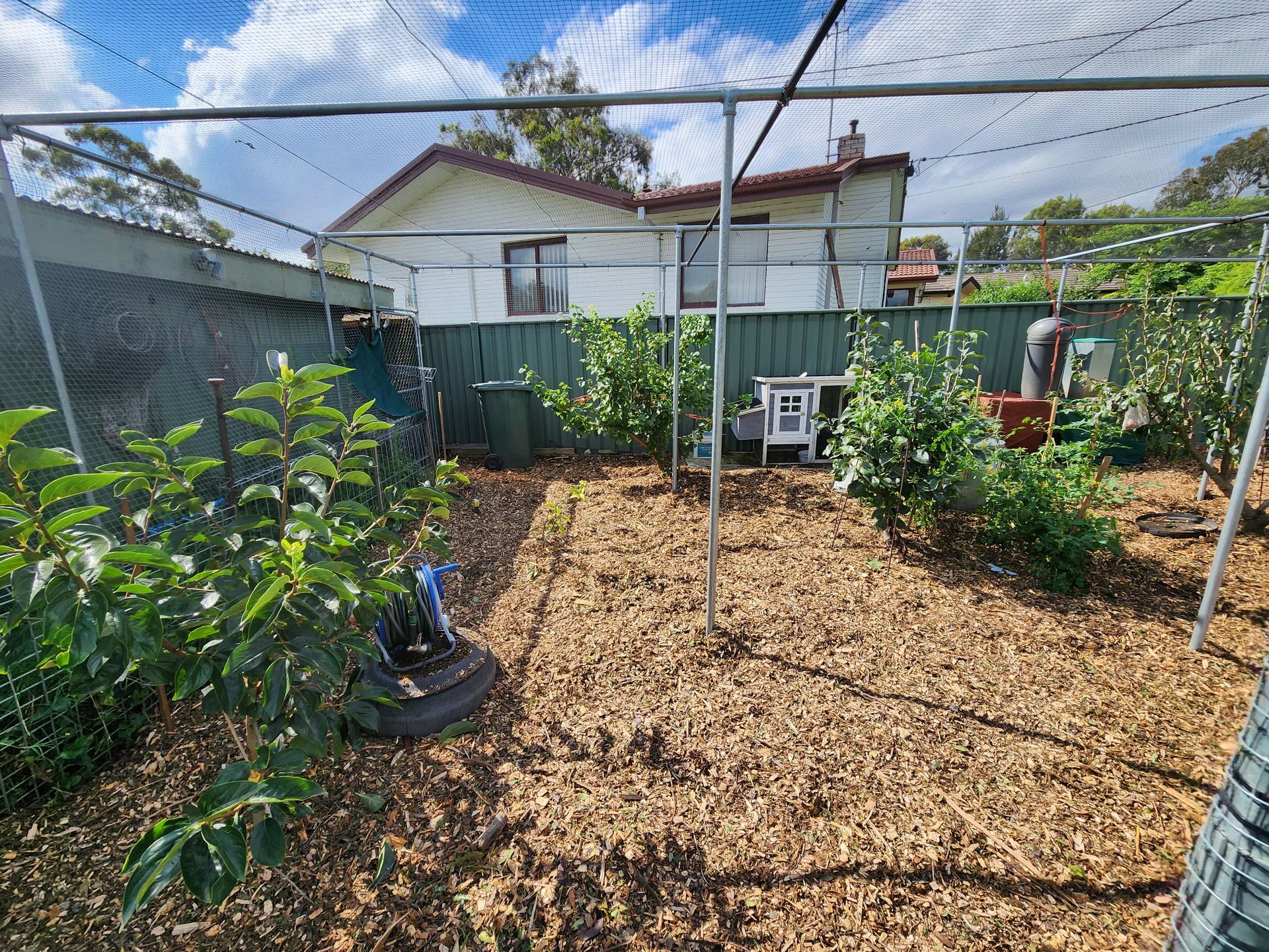 After A Wooden Deck With Chairs And A Table Overlooking A Body Of Water — Canberra Home and Garden Maintenance in Tuggeranong ACT