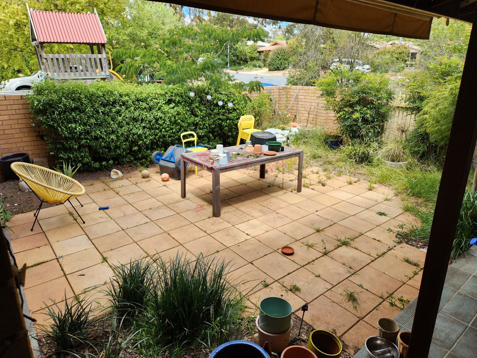 Before A Fence With A Lot Of Weeds Growing On It — Canberra Home and Garden Maintenance in Tuggeranong ACT