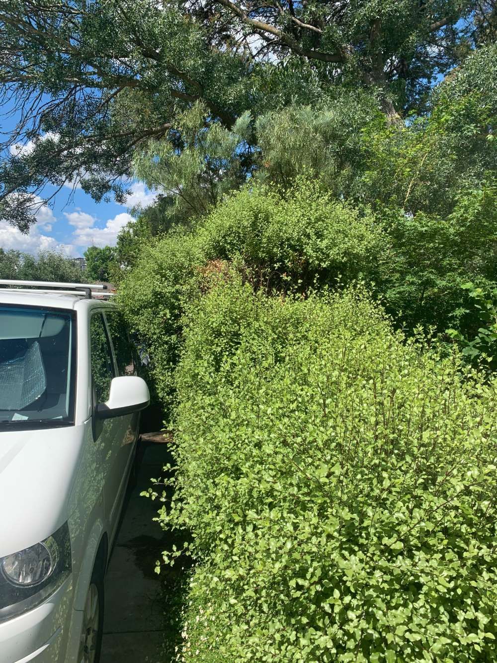 Before A White Van Is Parked In The Middle Of A Hedge — Canberra Home and Garden Maintenance in Tuggeranong ACT