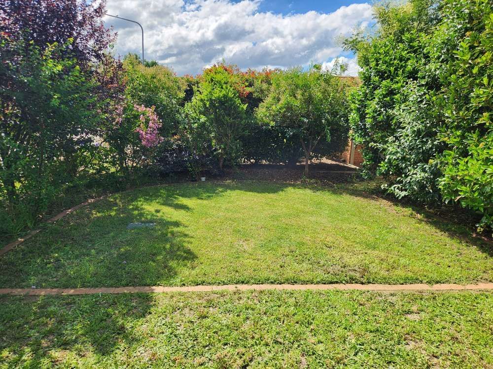 After A Lush Green Lawn Surrounded By Trees And Bushes On A Sunny Day — Canberra Home and Garden Maintenance in Tuggeranong ACT