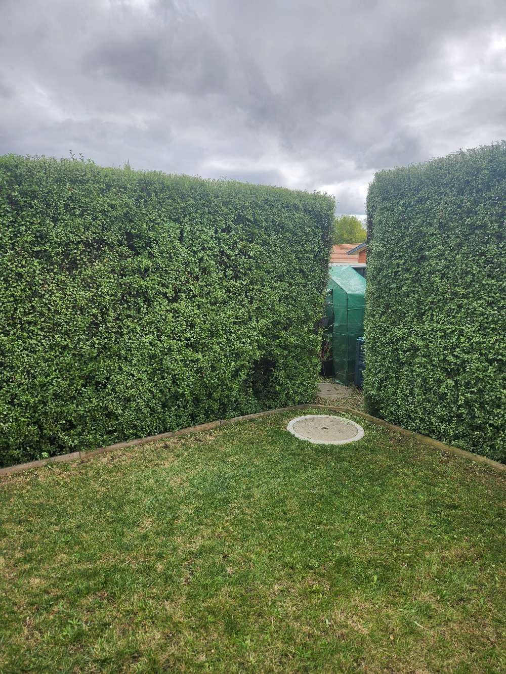 After A Lush Green Hedge Surrounds A Lush Green Lawn In A Backyard — Canberra Home and Garden Maintenance in Tuggeranong ACT