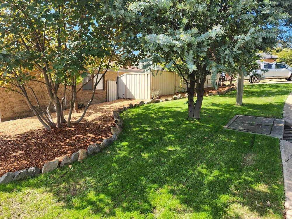 After A Lush Green Yard With Trees And A Shed In The Background — Canberra Home and Garden Maintenance in Tuggeranong ACT