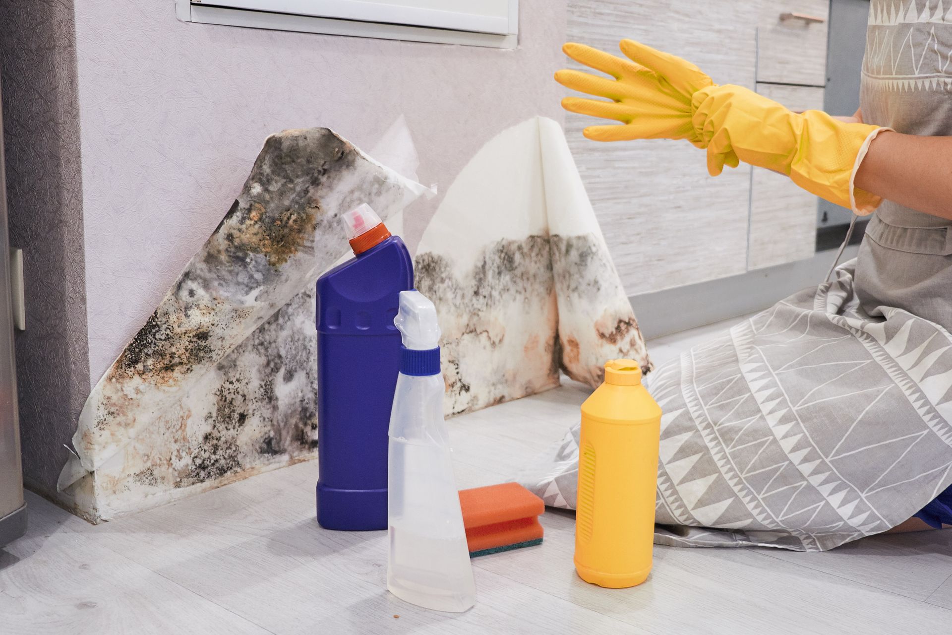 Housekeeper's Hand With Glove Cleaning Mold From Wall With Sponge And Spray Bottle