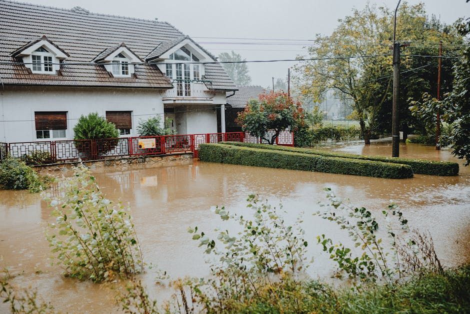 home water damage - Home water damage repair