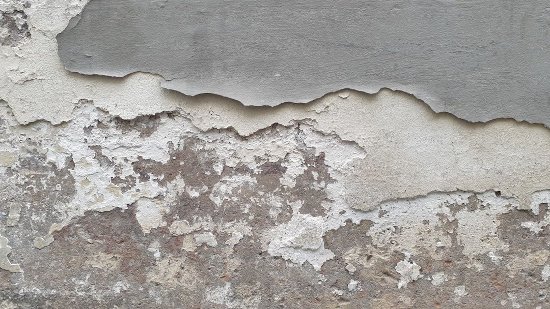 asbestos and lead testing denver - asbestos and lead testing denver colorado