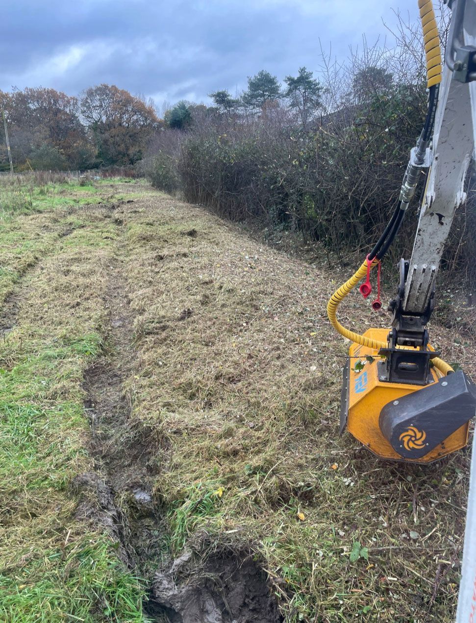 Restoring a local fishing lake swim in hampshire
