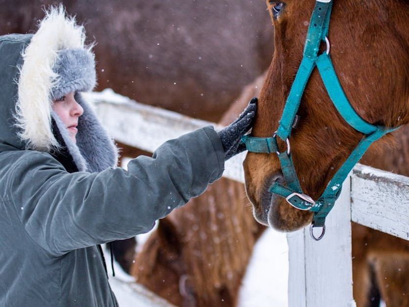 A young kid petting a horse's nose while it snows