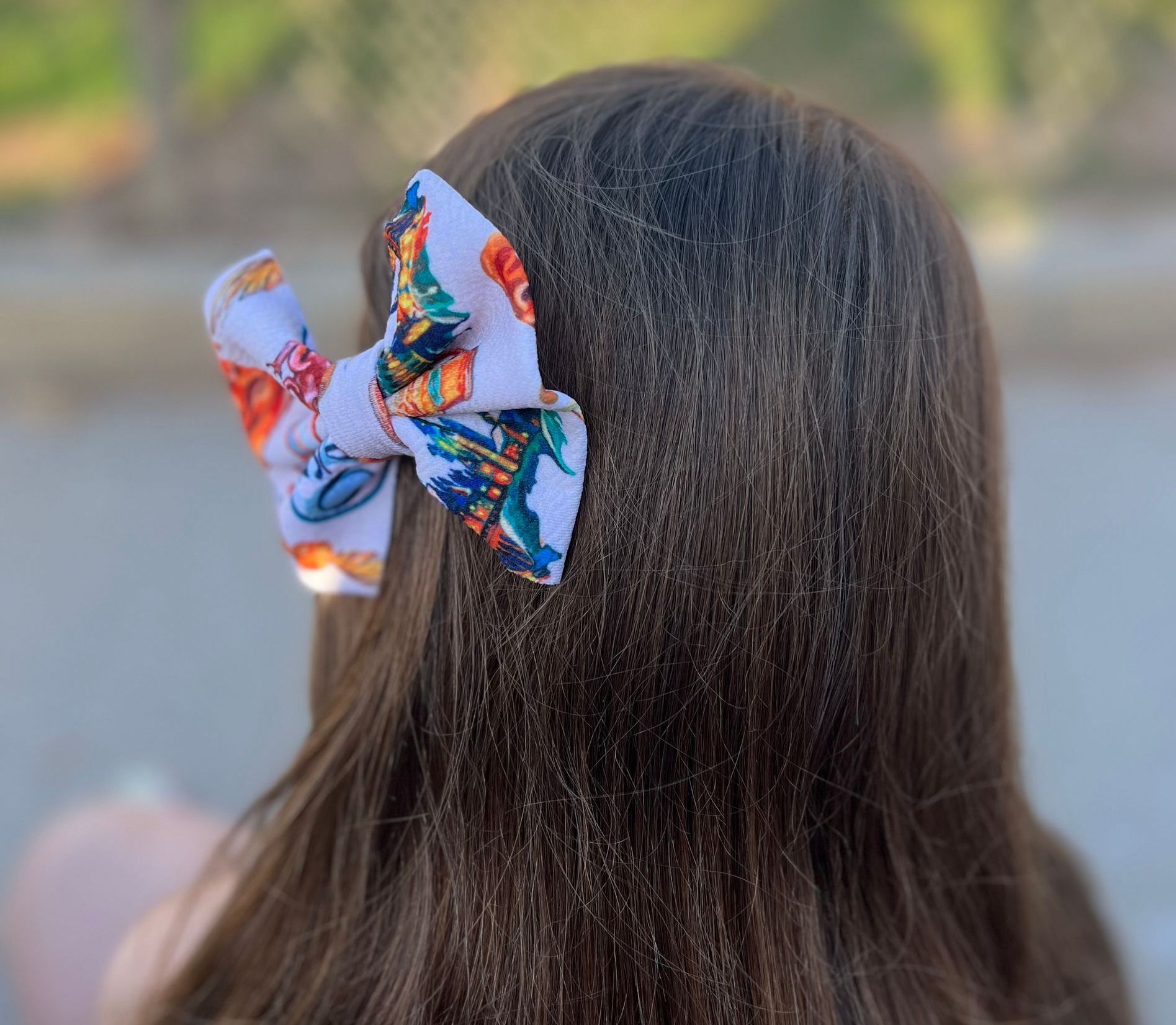 Cartoon & Character Clip Bows