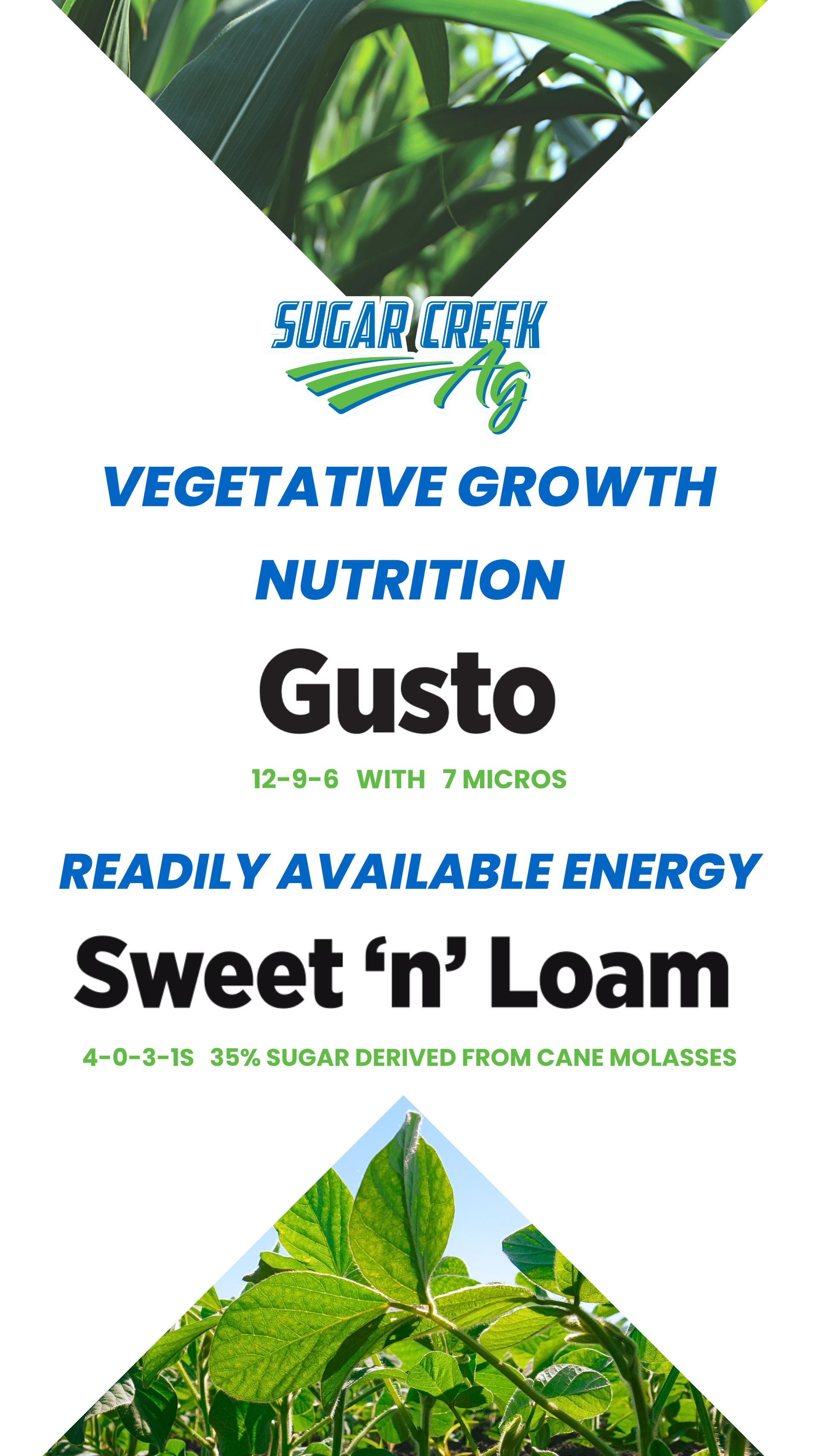 Vegetative Growth Stages: Building Yield Potential in Corn and Soybeans