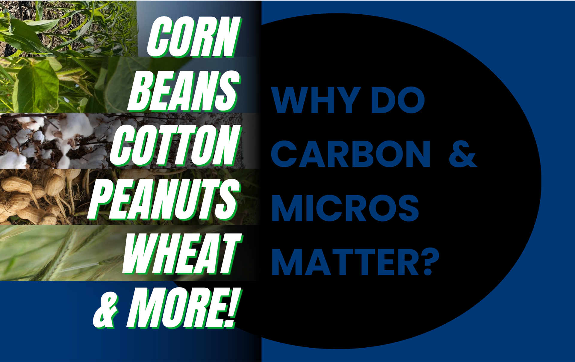 Why Do Carbon and Micronutrients Matter?